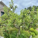 시소 민박 이미지