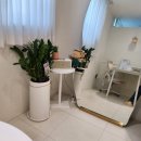 (주)해피코리아 | [일상로그] 2월의 세 번째 주