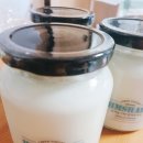 밈샥 | 착한 칼로리의 꾸덕한 유기농 수제요거트 '밈샥 그릭요거트'