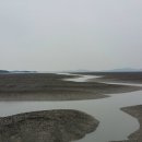 철새보러가는길 이미지