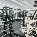 노력의 천재 헬스&PT 이미지