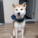 연수6단지아파트 이미지