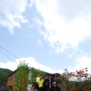 해남민박 이미지