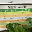 오마이BOB 이미지