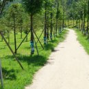 진고개가든 이미지