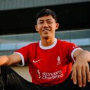 엔도코리아 이미지