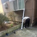 에이스빌라 | 인천휀스 빌라 화단 출입문 설치 시공 후기