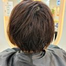 은조인테리어 | 미용실 리안헤어 송파헬리오시티점 은조 실장 신데렐라 크리닉 후기 – 확실히 달라진 손상모발 케어...