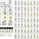 제산선생간명사례 - 곤명 1952년 11월 22일(음)신시 이미지