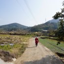 노일리 마을회관 이미지