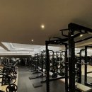 피트니스 인앤스타 이미지