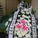 참옻지장수연구소
