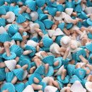 민트인사이트 이미지