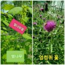 상진약초건강원 네이버블로그