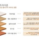 더샤인뷰티