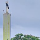 뜨락의아침 이미지