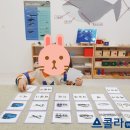스콜라몬테소리양산덕계점