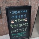 냥린이네 이미지