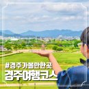 경주 가볼만한곳 숭문대 교촌한옥마을 월정교 계림 월성까지 이어지는 도보여행코스 추천