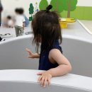 평화이용 | 칠곡 호국평화기념관에 있는 유아평화체험관 이용후기 (유아평화관 예약 방법, 운영시간)