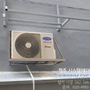 어바웃 댕댕 이미지