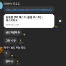 동물 뭐시기 테스트? 이미지