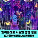 (주)카스코 | 서울 근교 여름 여행추천/ 시원한 동굴 속으로 피서 떠나요 / 40개월 아이도 갈 수 있는 광명동굴