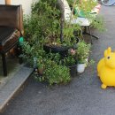 한일방앗간 이미지