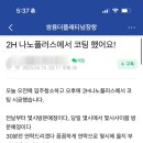 클린.힐 이미지