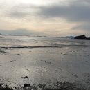 증도~용정 이미지