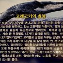덕천꽃고래