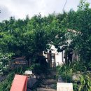 방장산민박