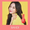 디자인반디 이미지