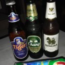 코알라맥주 이미지
