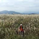 운제산장 이미지