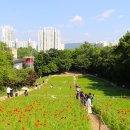 올림픽공원 이미지