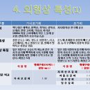 태백산가시오가피
