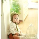 진진바라 이미지