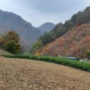 유곡공인중개사사무소 이미지
