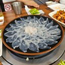 복어대감 이미지