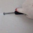 충남일자리협동조합 이미지