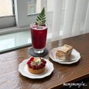 체리빈Coffee | 춘천 디저트 맛집, 아도베라 : 인생 케이크를 맛보다
