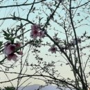 당두공원 이미지