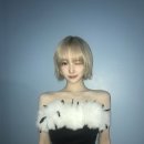 지마