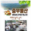 보람공판장