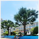 대창컨설팅 - 공주시 공주대학로 78 | 대창컨설팅