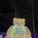 별빛정원 | 아침고요수목원 2025 오색별빛정원 다녀온 후기(2025년12월5일)