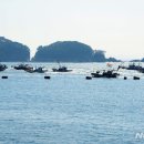 남해-290 이미지