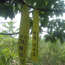 대소2 이미지