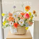 나렌시아플라워 - 도봉구 해등로16다길 13 | 나렌시아플라워